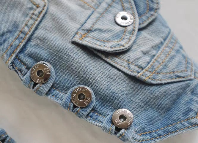 Rover Denim Vest
