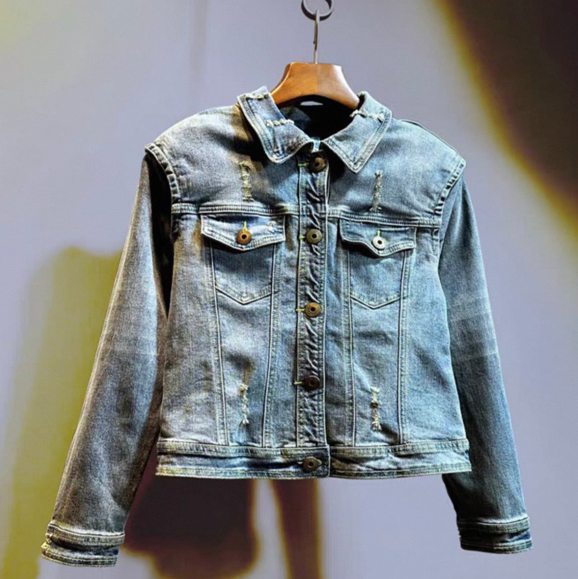 Solara Embellished Denim Jacket